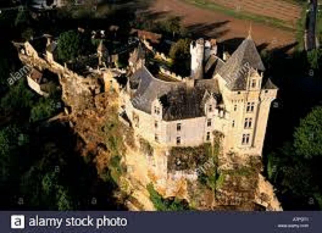 Villa Les pruniers de la cipière à Peyzac-le-Moustier Extérieur photo