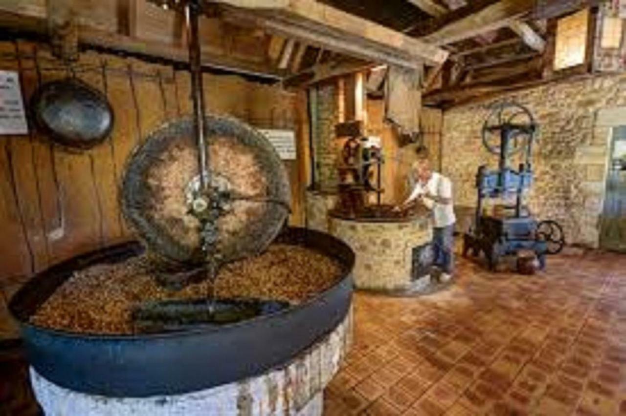 Villa Les pruniers de la cipière à Peyzac-le-Moustier Extérieur photo